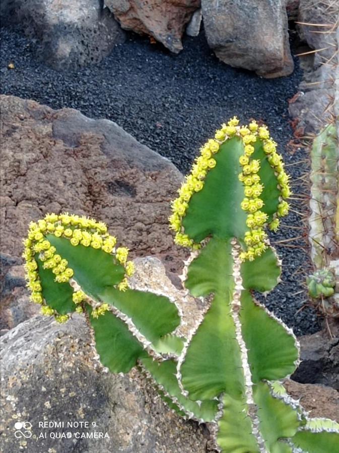 Villa Splendid Casa Papagayo, Heated Pool, Roofterrace With Views And Wifi Playa Blanca (Lanzarote)